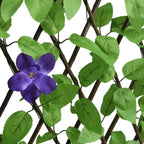 Rankgitter mit künstlichem Efeu, erweiterbar